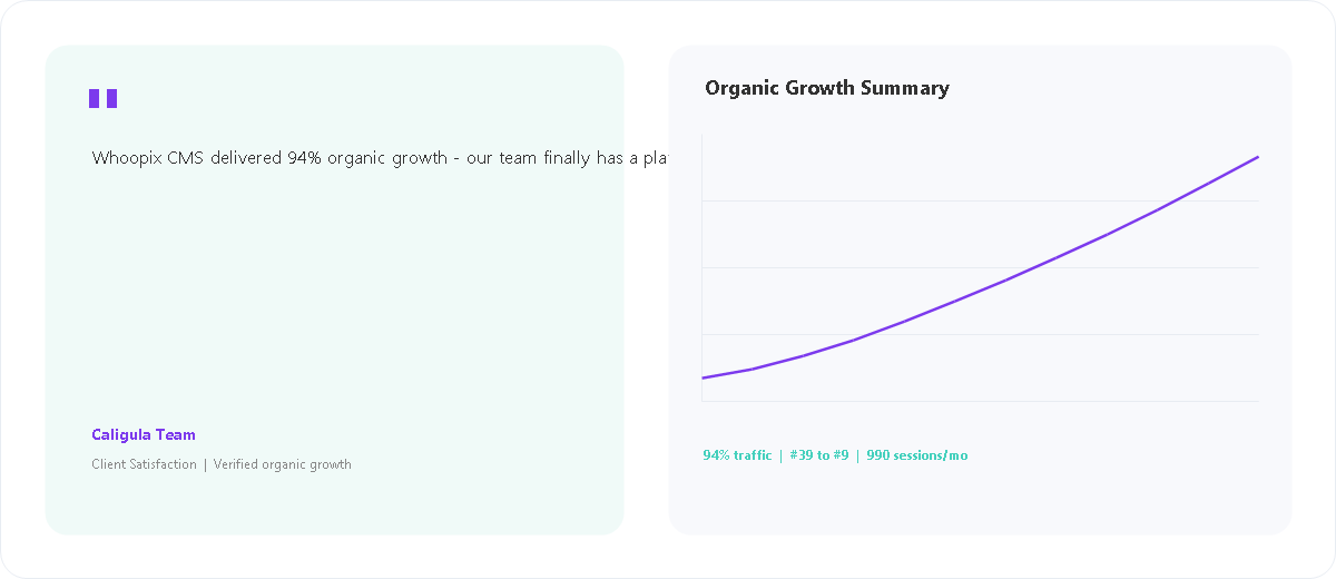 Entertainment Brand Website client satisfaction and organic growth