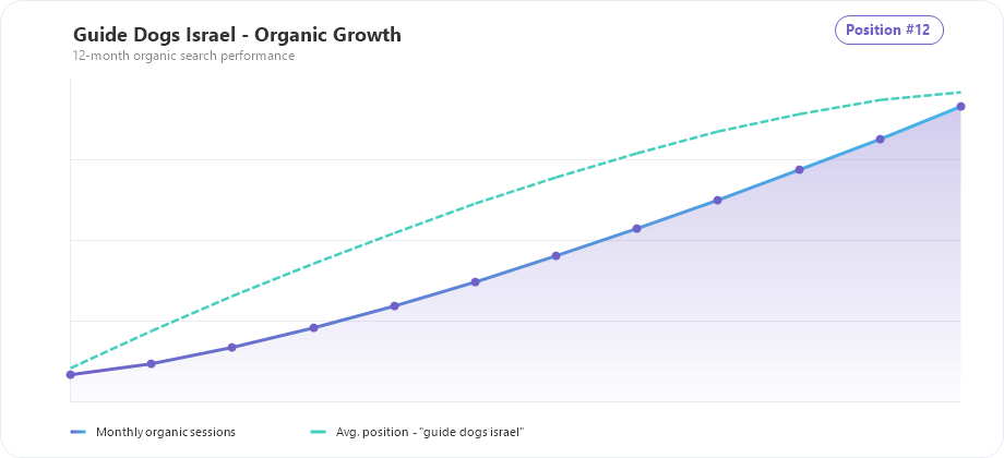Guide Dogs Israel organic traffic and ranking growth chart